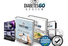 Diabetes 60 System